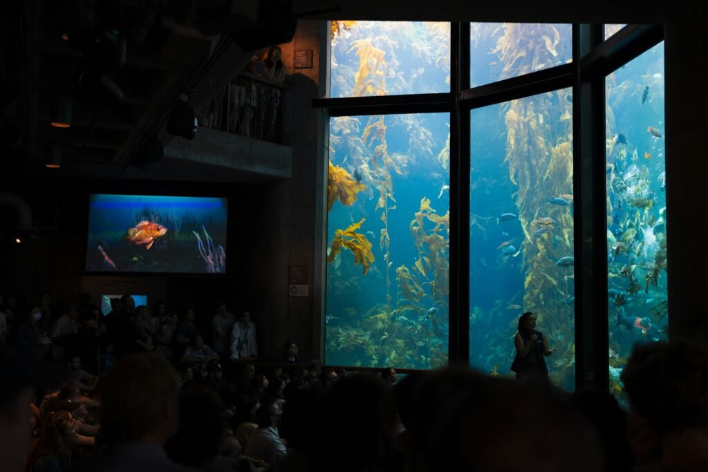 A large aquarium filled with lots of fish